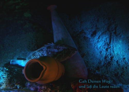 Barsch, SEA LIFE, M&uuml;nchen, 2007