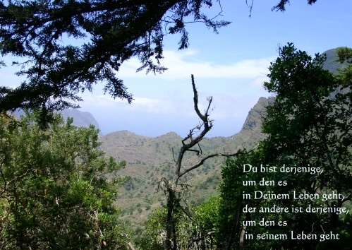 Nationalpark Garajonay, La Gomera, 2005