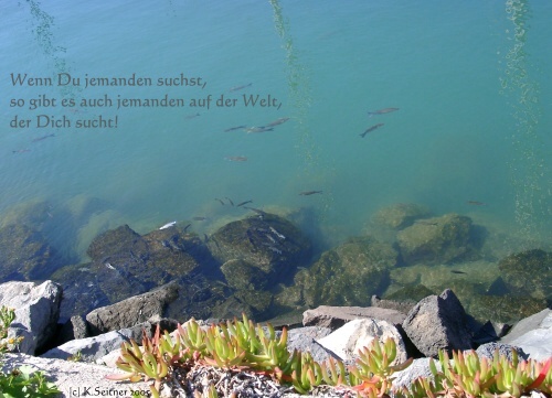 San Sebastian Hafen, La Gomera 2005