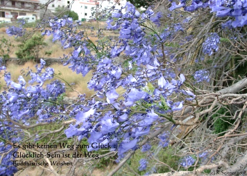San Sebastian, La Gomera 2005