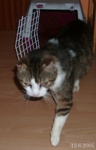 die ersten Schritte im neuen Zuhause !