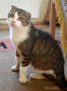 bin ich nicht niedlich ?