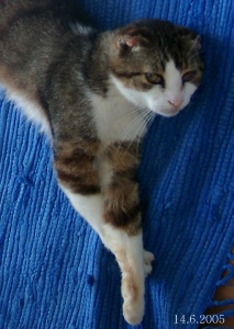 Entspannung pur ... !